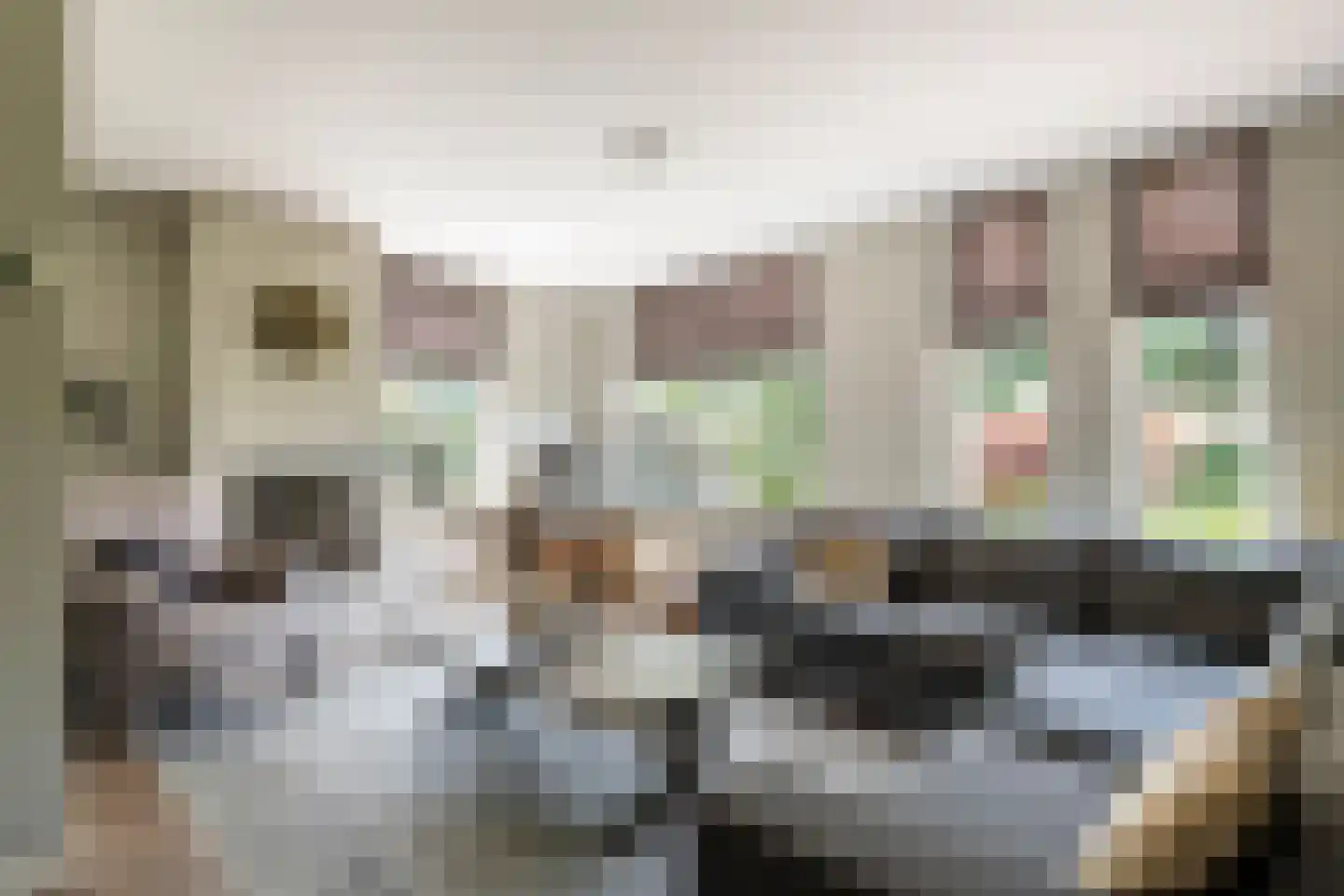 Goudrenet 49 Geldermalsen thumbnail 6
