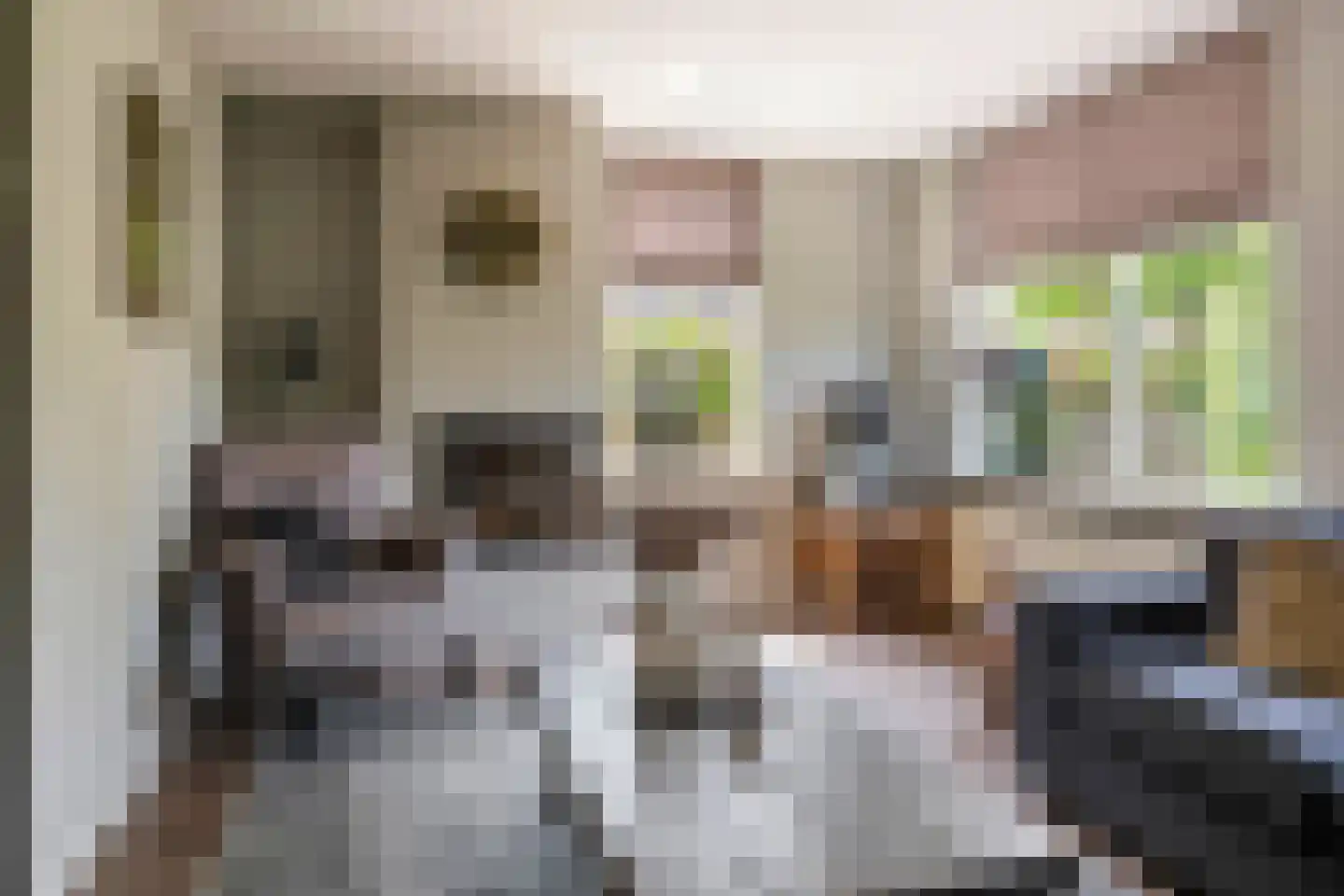 Goudrenet 49 Geldermalsen thumbnail 7
