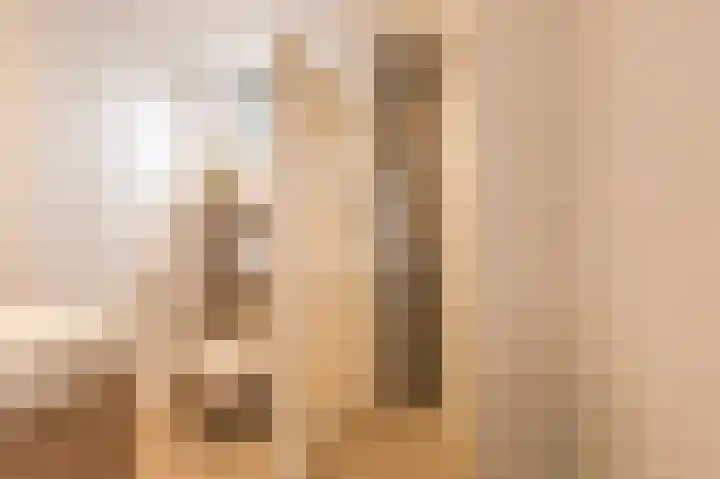 Goudrenet 8 Geldermalsen thumbnail 10