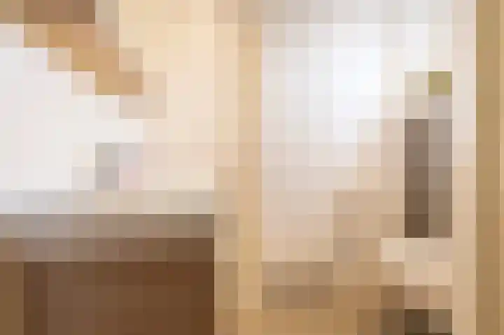 Goudrenet 8 Geldermalsen thumbnail 11
