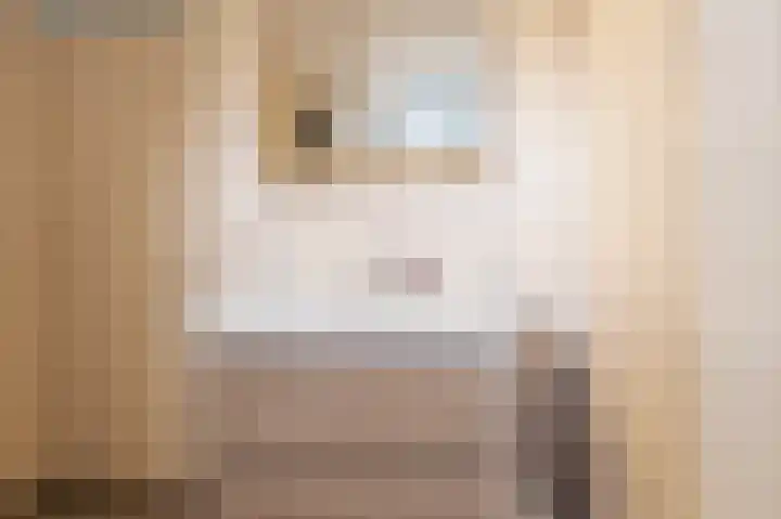Goudrenet 8 Geldermalsen thumbnail 12