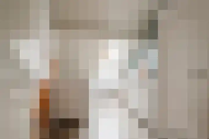 Goudrenet 8 Geldermalsen thumbnail 14