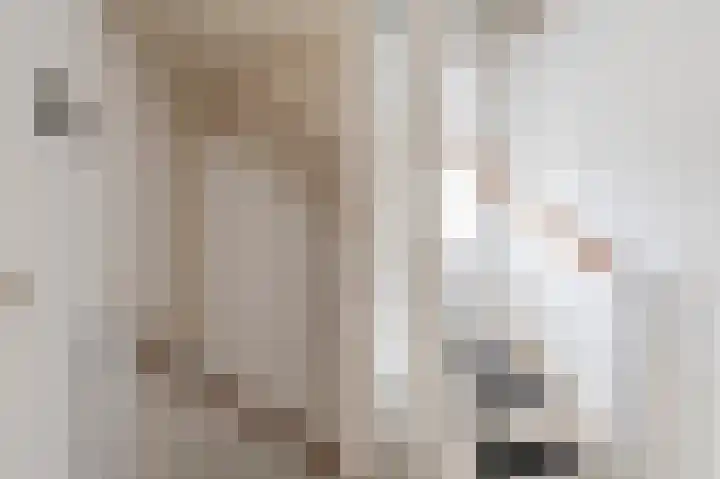 Goudrenet 8 Geldermalsen thumbnail 15
