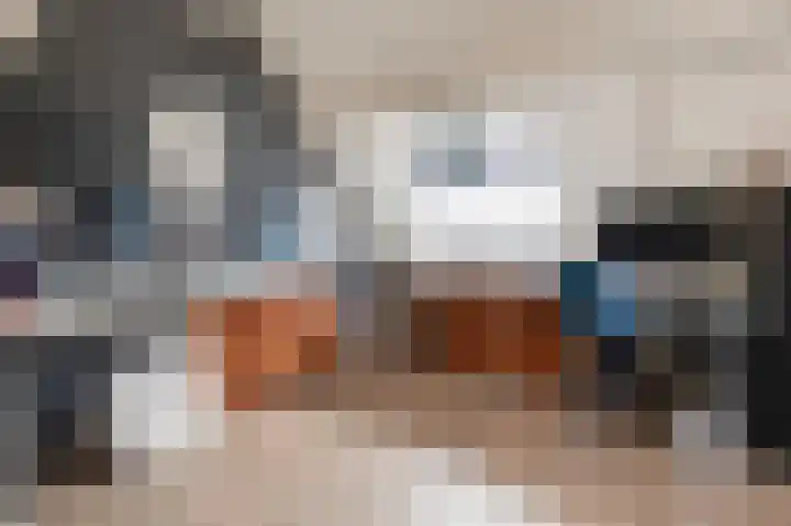 Goudrenet 8 Geldermalsen thumbnail 16