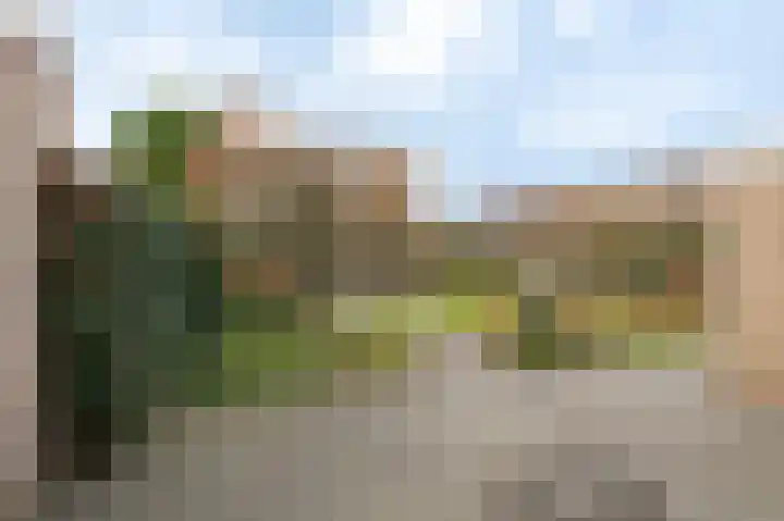 Goudrenet 8 Geldermalsen thumbnail 18