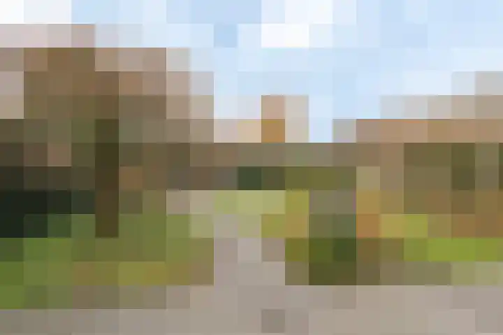 Goudrenet 8 Geldermalsen thumbnail 19