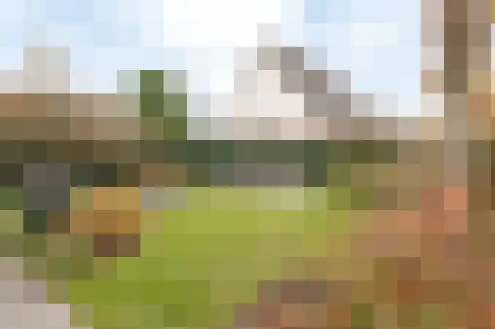 Goudrenet 8 Geldermalsen thumbnail 21