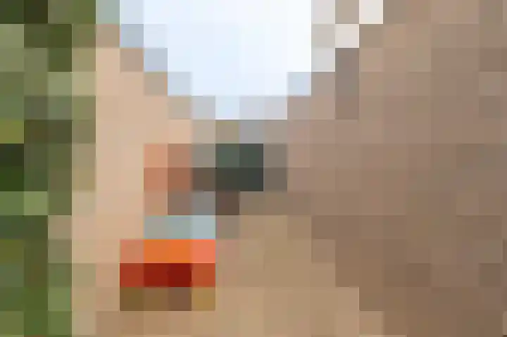 Goudrenet 8 Geldermalsen thumbnail 22