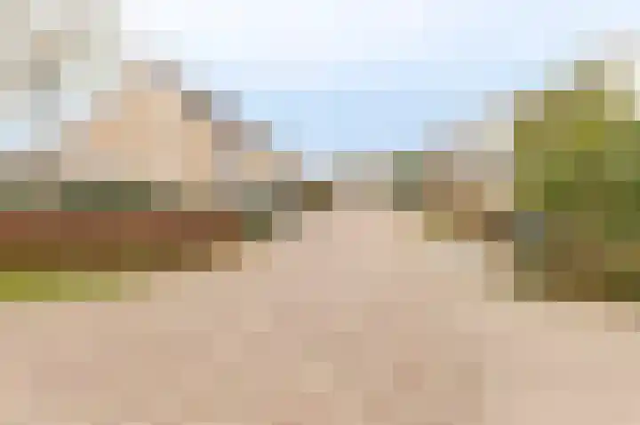 Goudrenet 8 Geldermalsen thumbnail 24