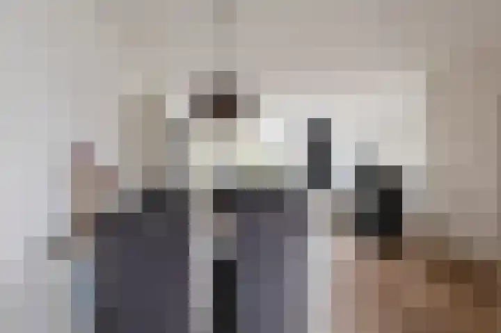 Goudrenet 8 Geldermalsen thumbnail 4