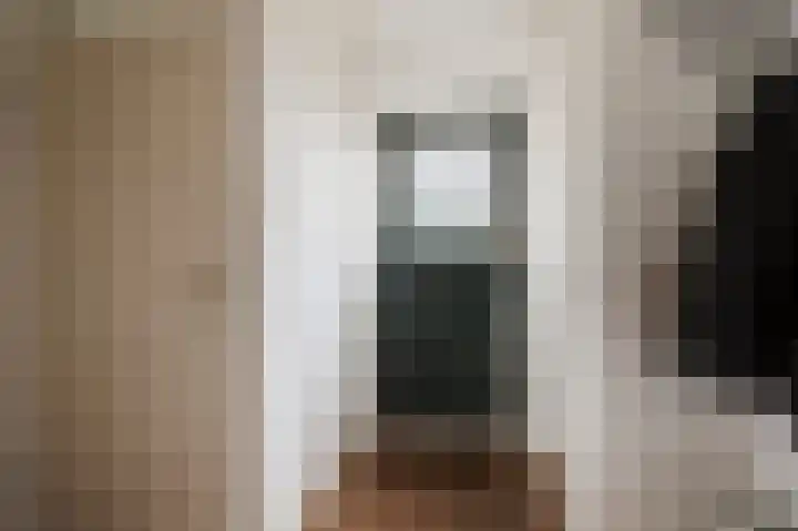 Goudrenet 8 Geldermalsen thumbnail 7