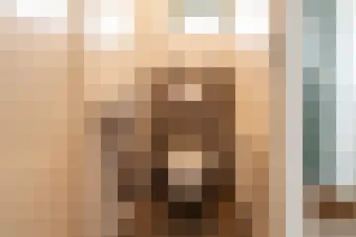 Goudrenet 8 Geldermalsen thumbnail 8
