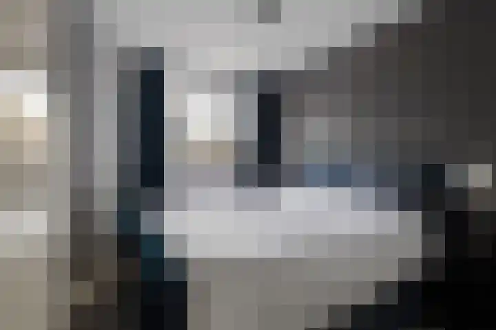 Goudrenet 8 Geldermalsen thumbnail 9