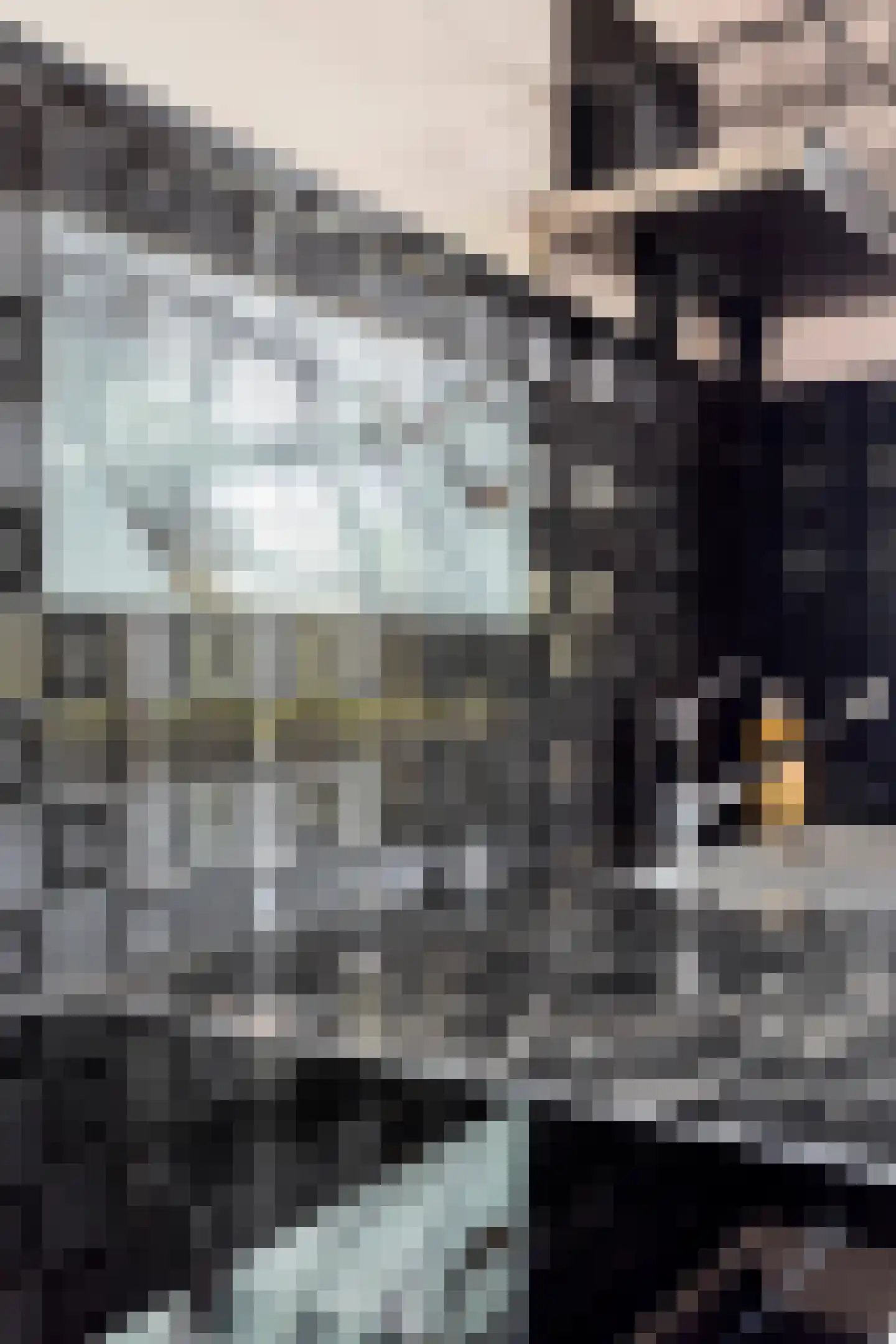Goudrenetstraat 10 Eindhoven thumbnail 20
