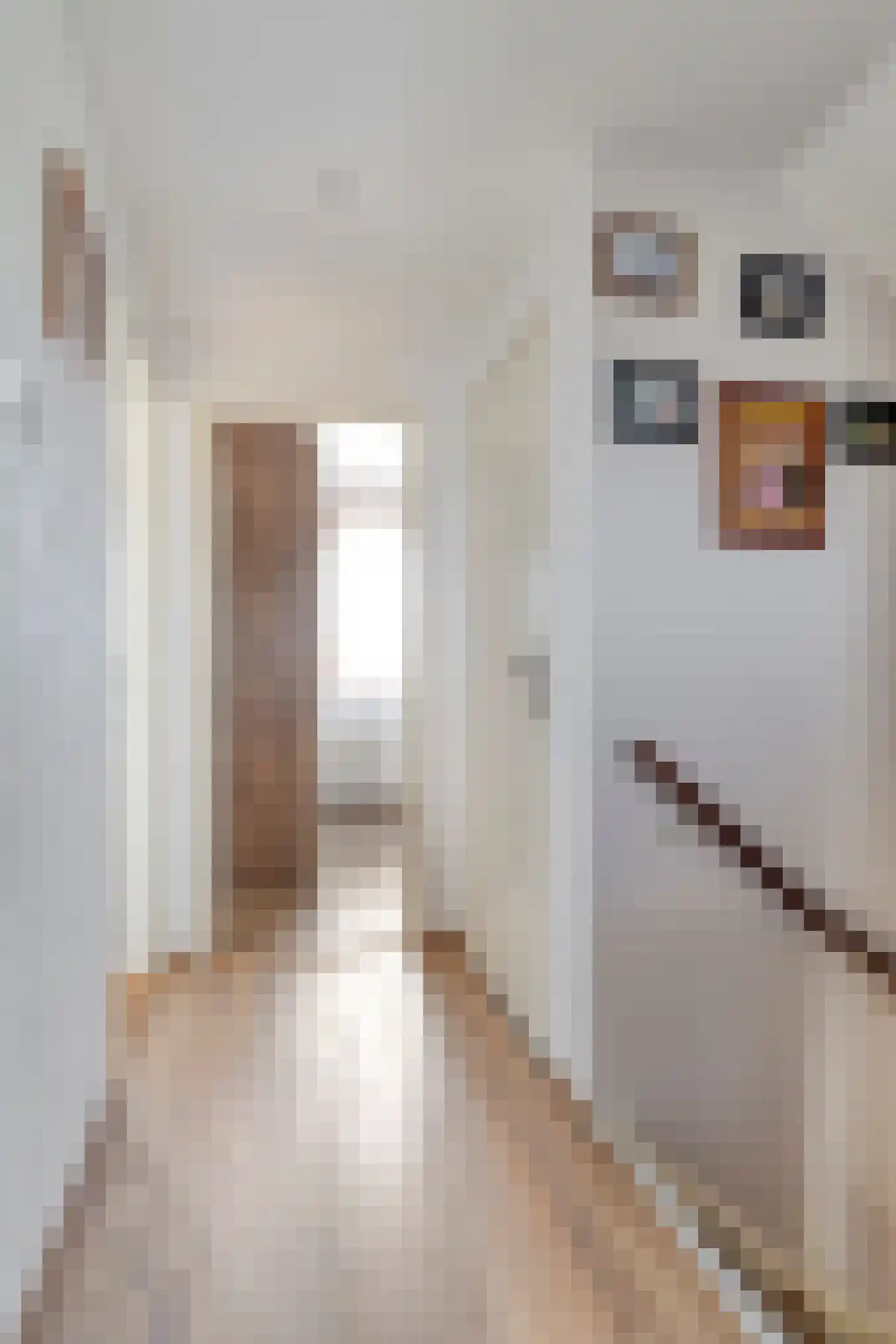 Goudrenetstraat 10 Eindhoven thumbnail 23