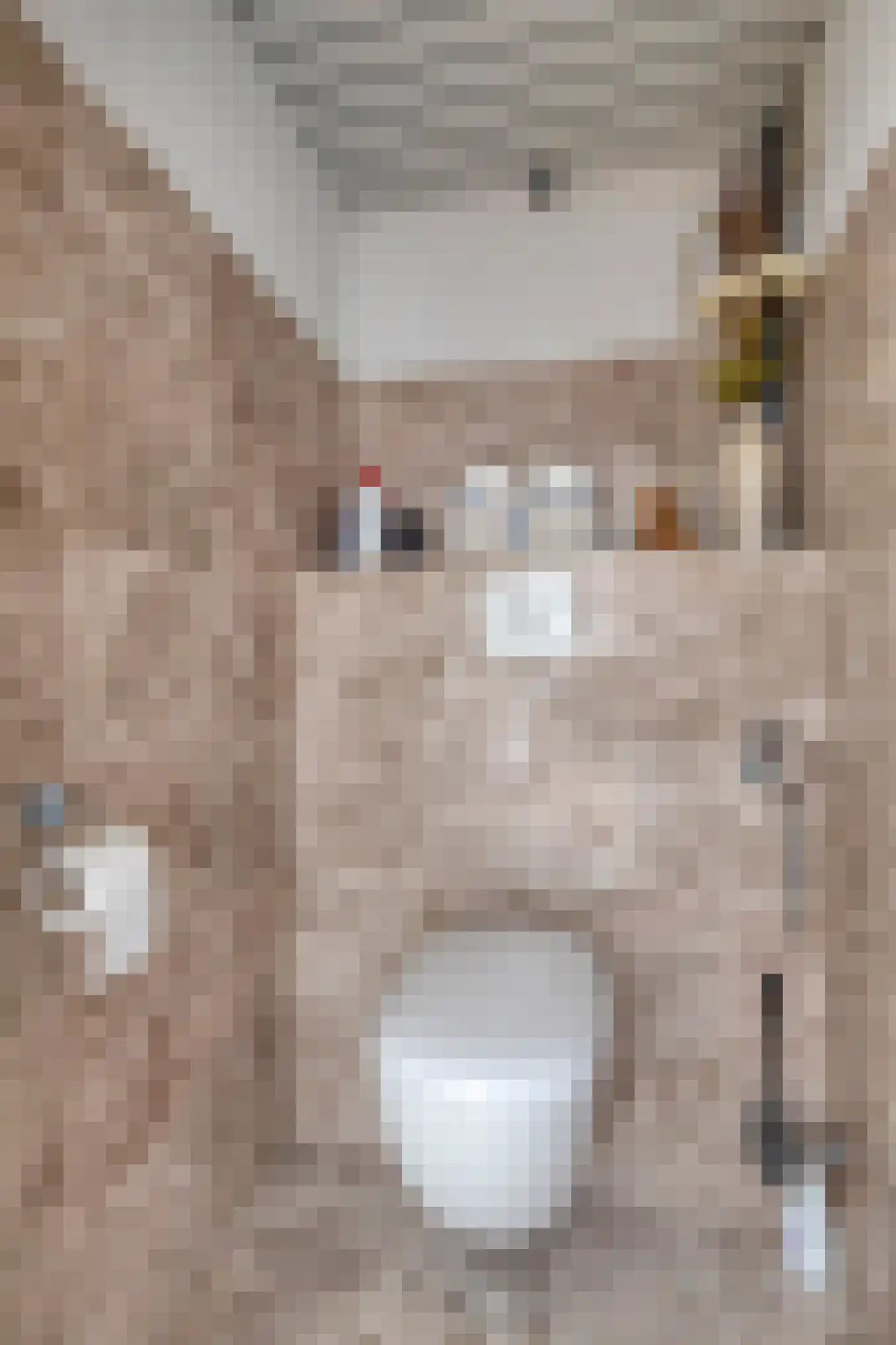 Goudrenetstraat 10 Eindhoven thumbnail 24