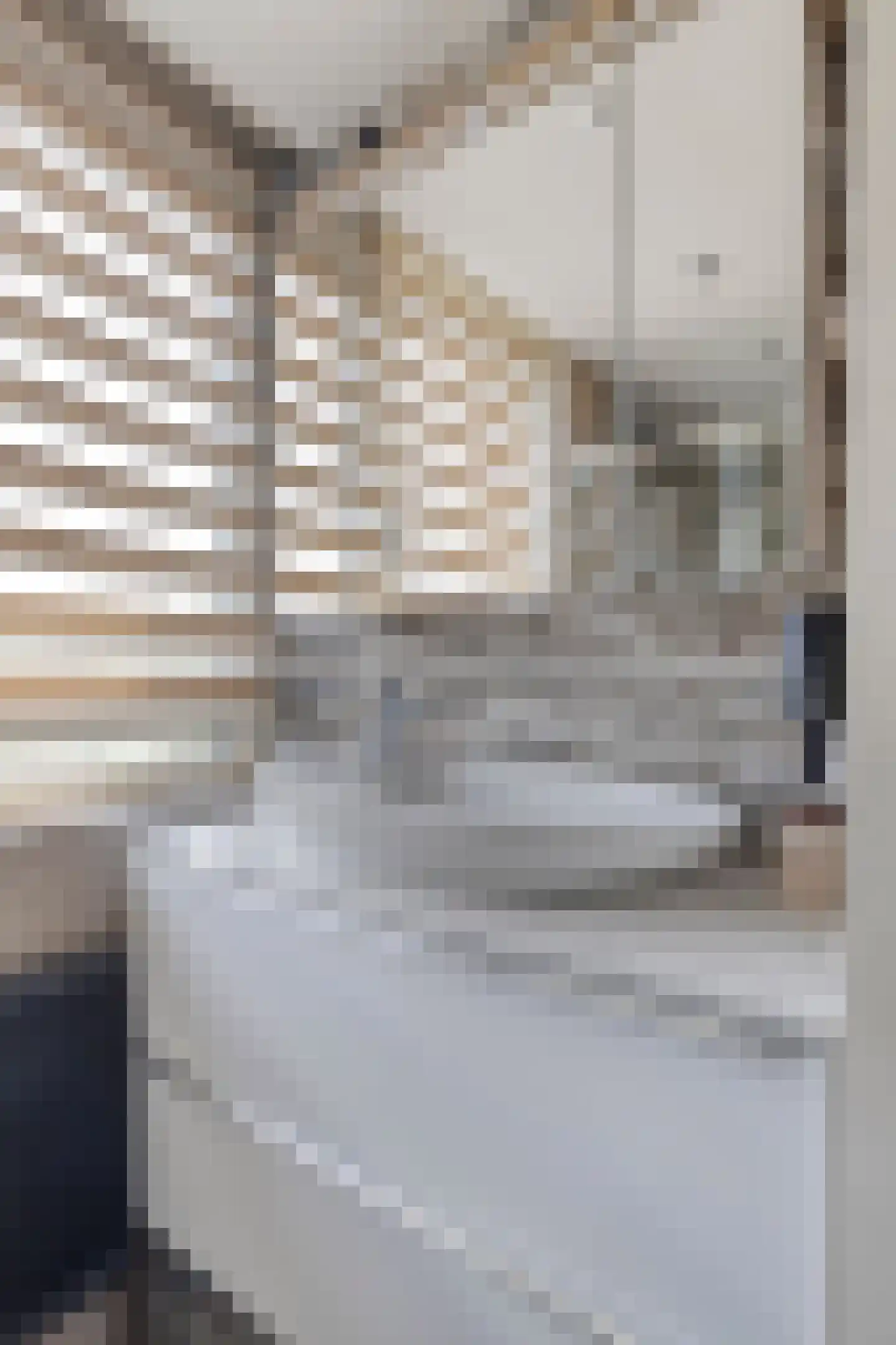 Goudrenetstraat 10 Eindhoven thumbnail 30