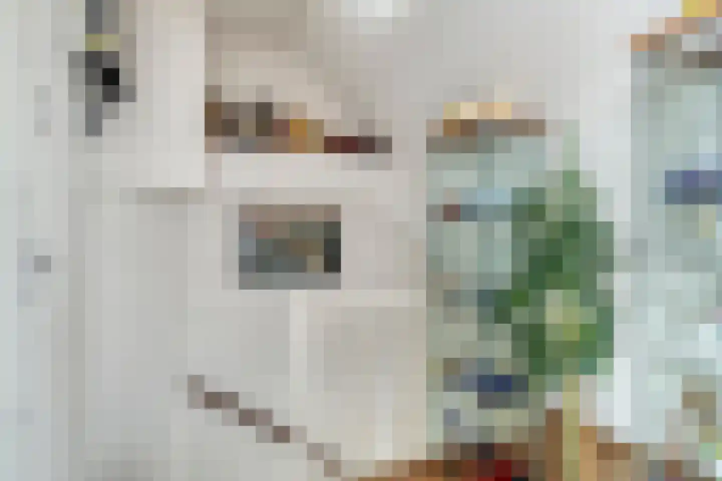 Goudrenetstraat 10 Eindhoven thumbnail 33