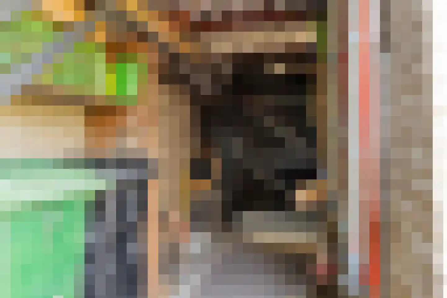 Goudrenetstraat 10 Eindhoven thumbnail 41