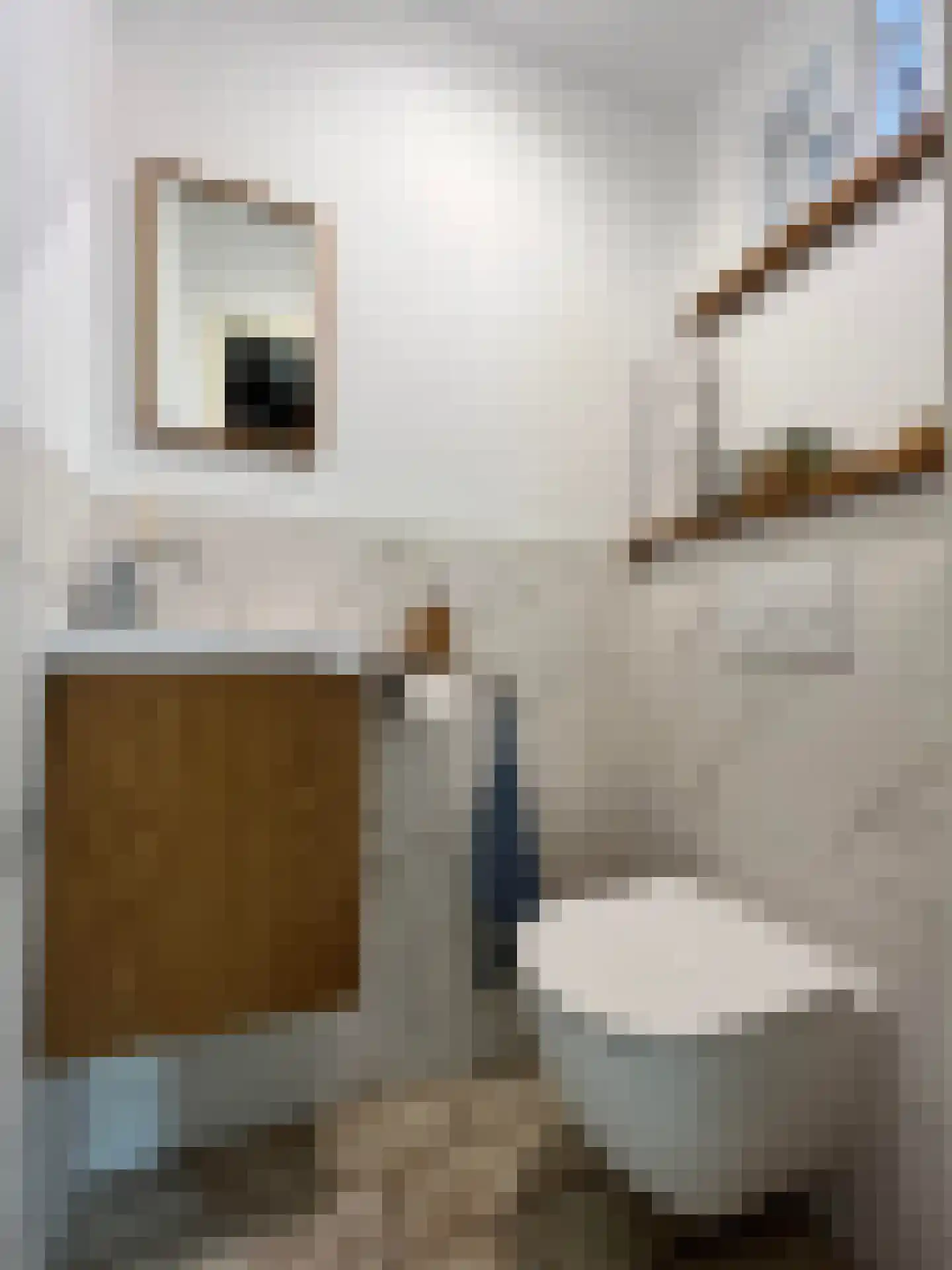 Goudrenetstraat 10 Eindhoven thumbnail 8