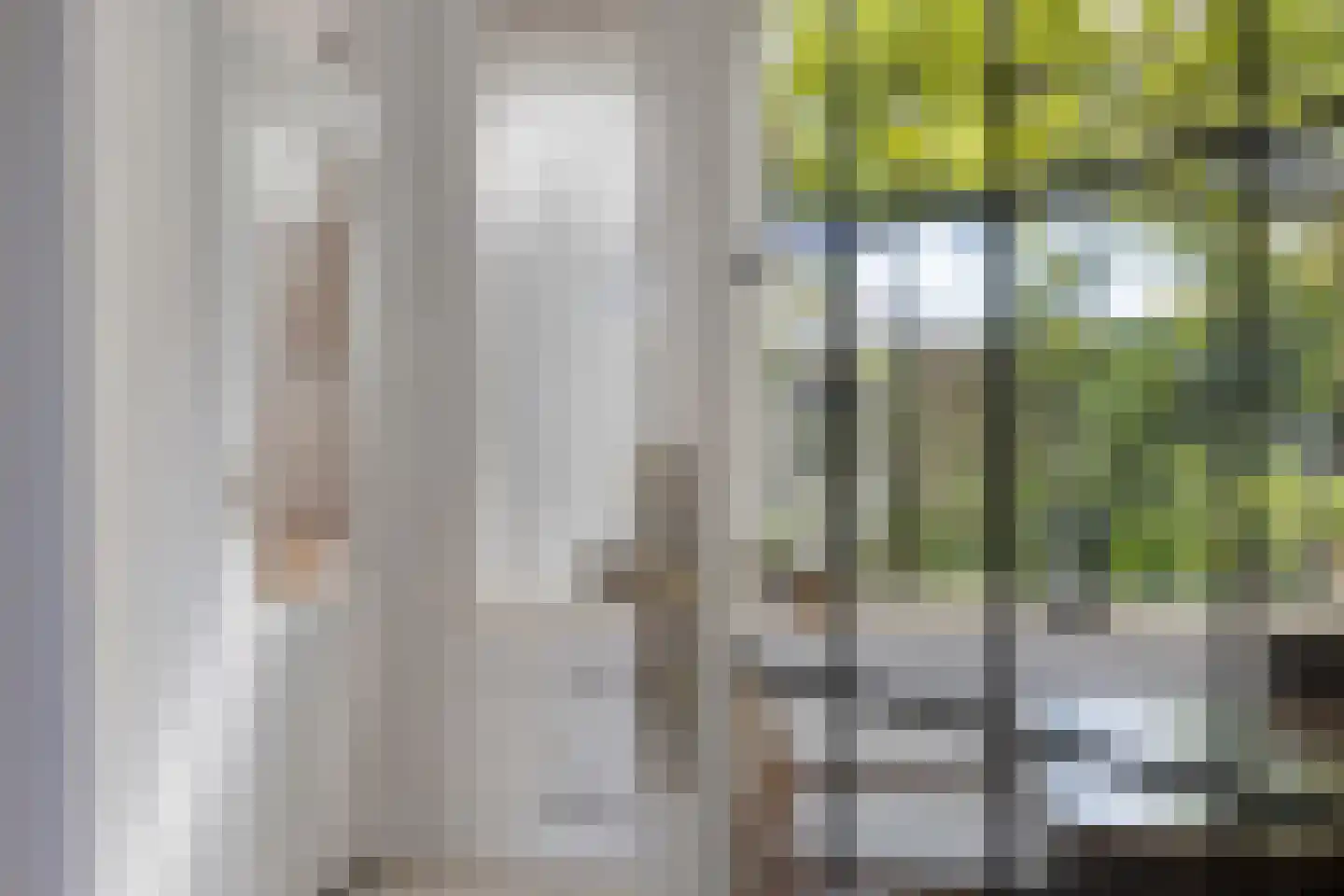 Goudrenetstraat 31 Eindhoven thumbnail 10