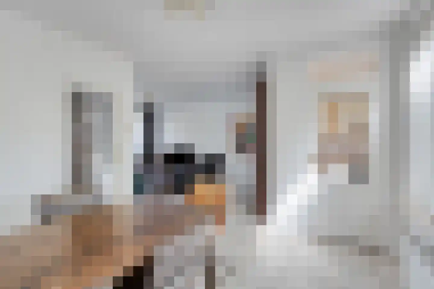Goudrenetstraat 31 Eindhoven thumbnail 13