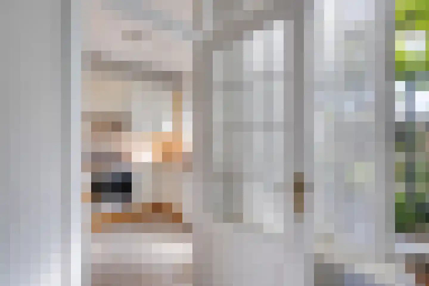 Goudrenetstraat 31 Eindhoven thumbnail 15