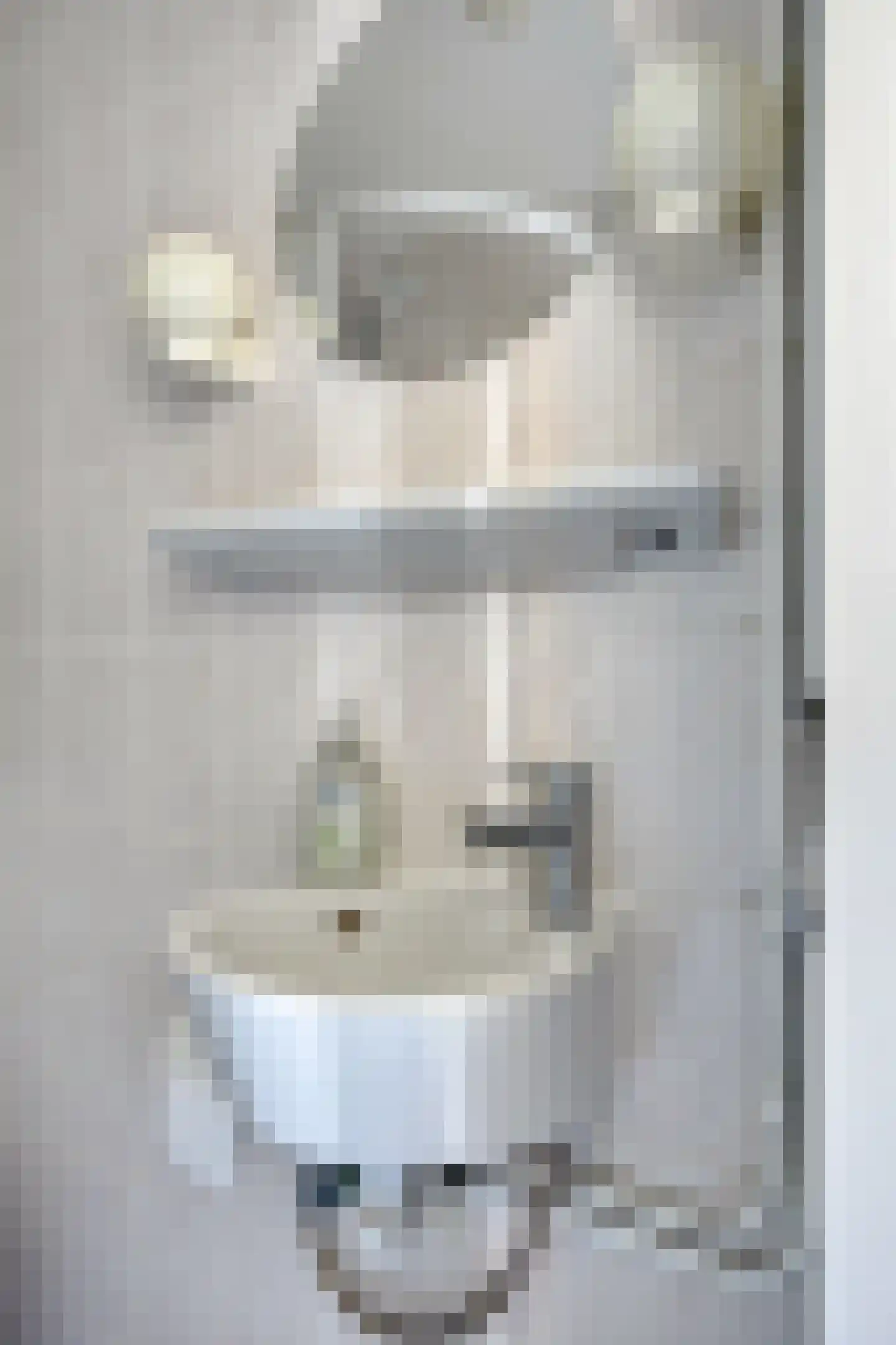 Goudrenetstraat 31 Eindhoven thumbnail 25