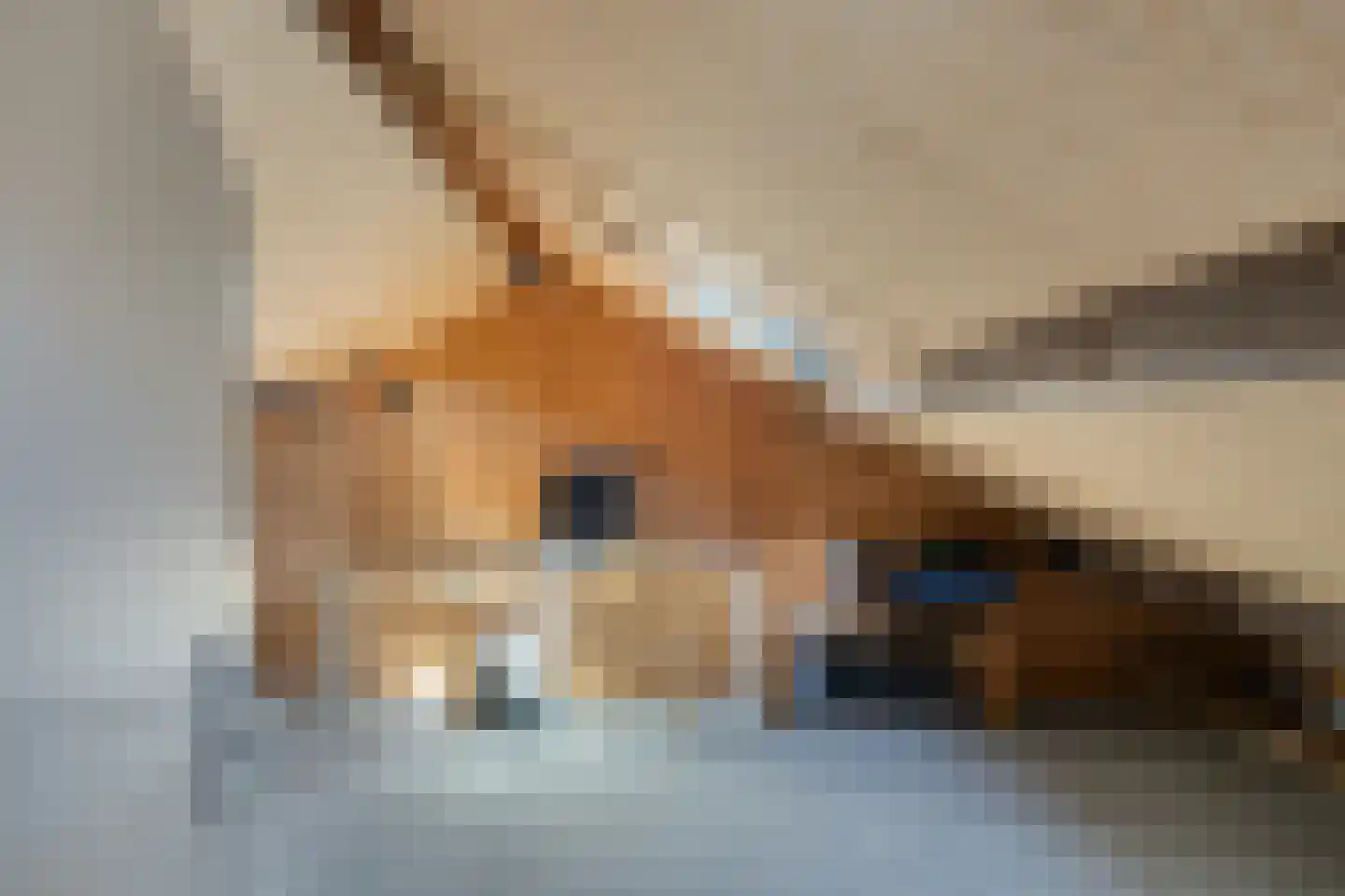 Goudrenetstraat 31 Eindhoven thumbnail 26