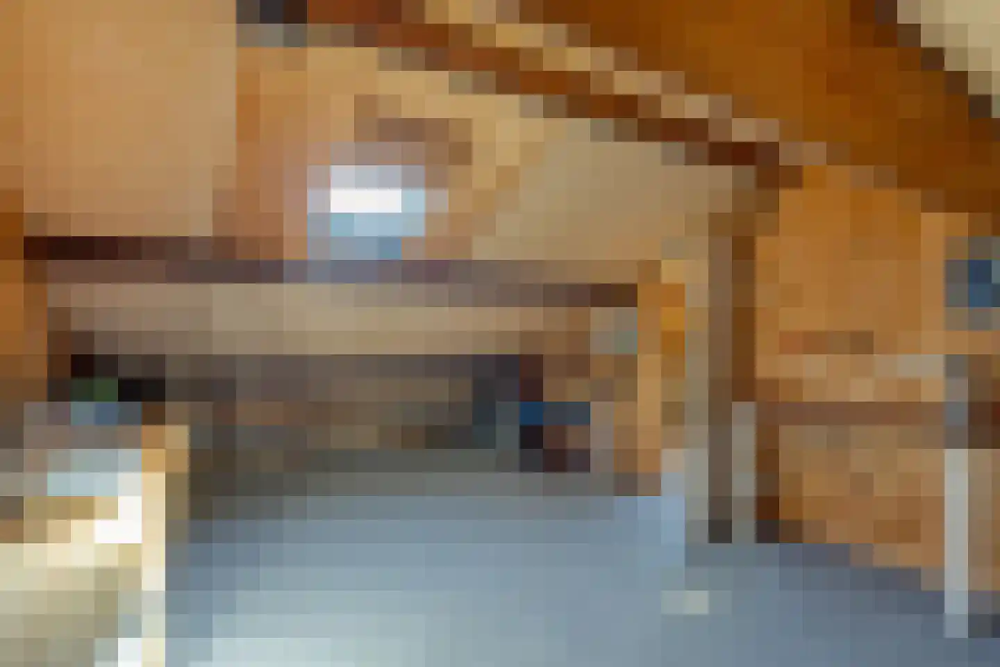 Goudrenetstraat 31 Eindhoven thumbnail 27