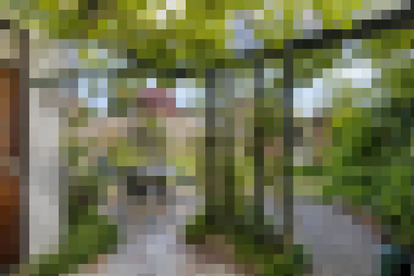 Goudrenetstraat 31 Eindhoven thumbnail 29