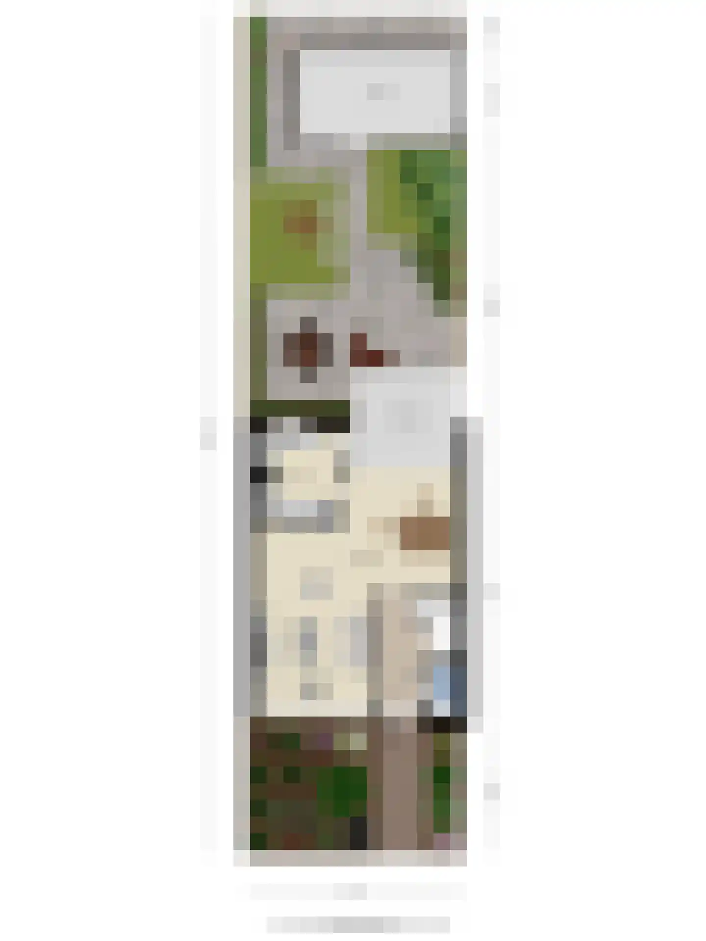 Goudrenetstraat 31 Eindhoven thumbnail 38