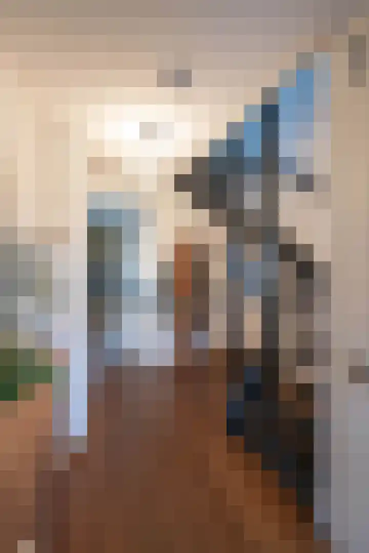 Goudriaanlaan 28 Almelo thumbnail 21