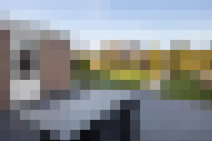 Goudriaanlaan 28 Almelo thumbnail 34