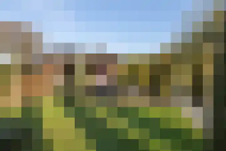Goudriaanlaan 28 Almelo thumbnail 36