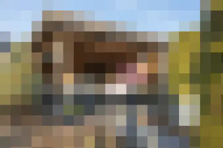 Goudriaanlaan 28 Almelo thumbnail 37