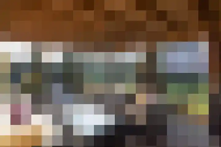 Goudriaanlaan 28 Almelo thumbnail 38