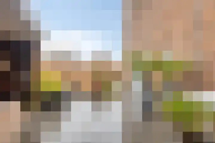 Goudriaanpad 37 Deventer thumbnail 23