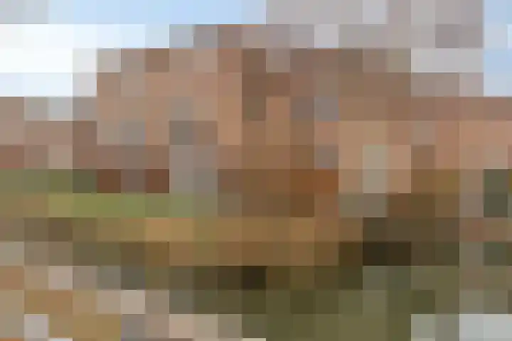 Goudriaanpad 37 Deventer thumbnail 4