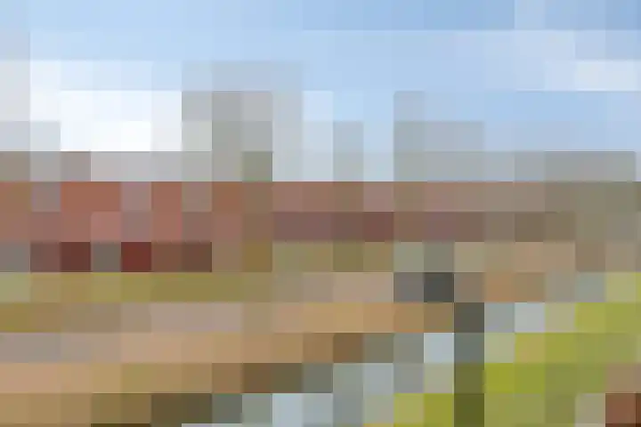 Goudriaanpad 37 Deventer thumbnail 45