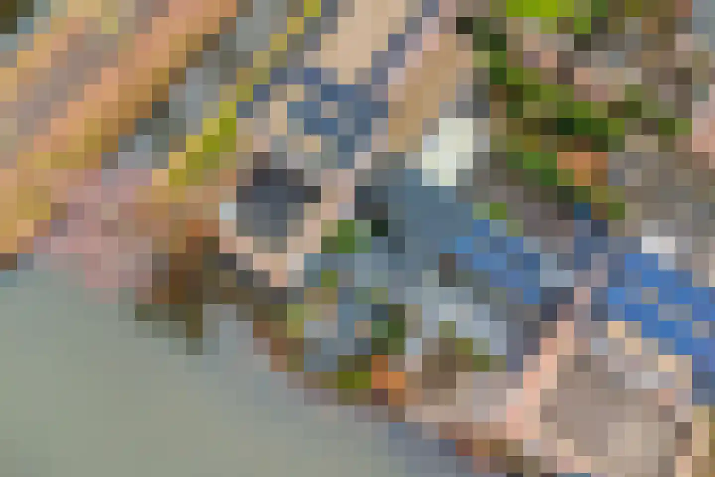 Goudriaanpad 37 Deventer thumbnail 47