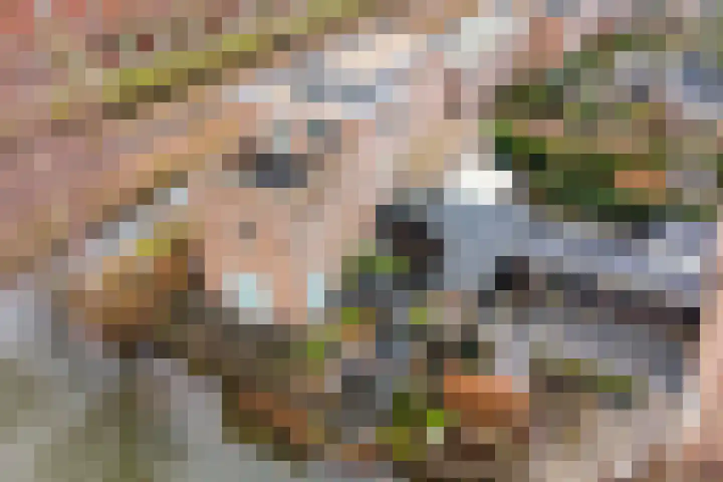 Goudriaanpad 37 Deventer thumbnail 48