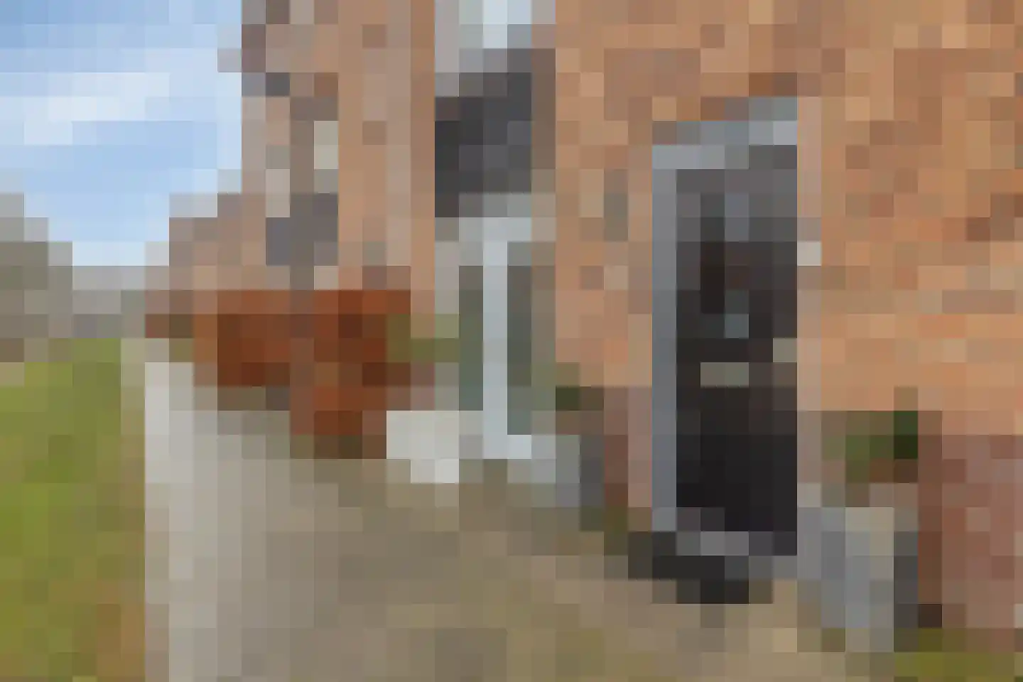 Goudriaanpad 37 Deventer thumbnail 9