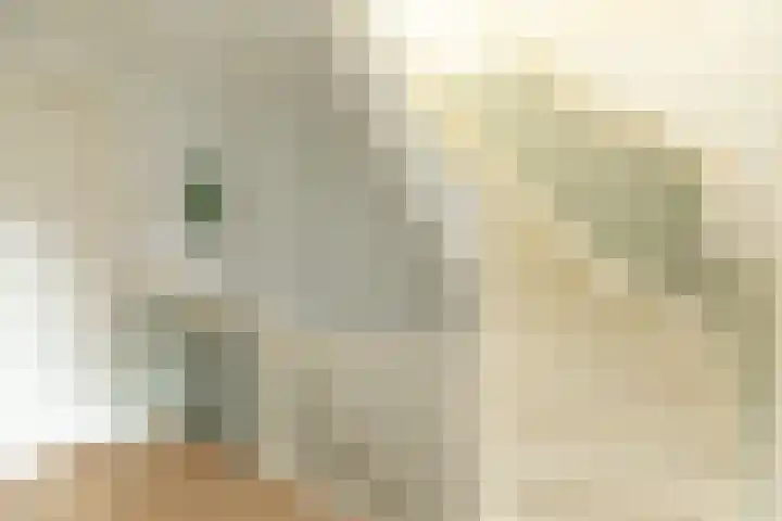 Goudriaanstraat 12 Hilversum thumbnail 19