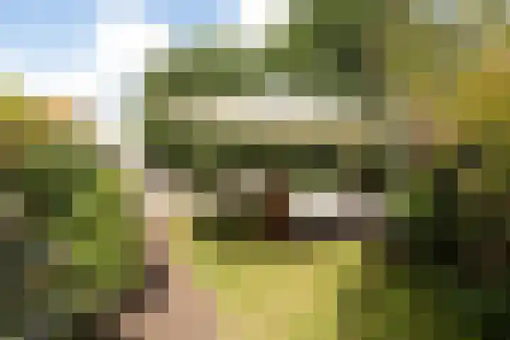 Goudriaanstraat 12 Hilversum thumbnail 27