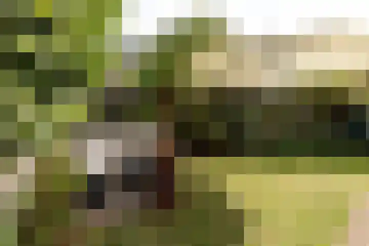 Goudriaanstraat 12 Hilversum thumbnail 29