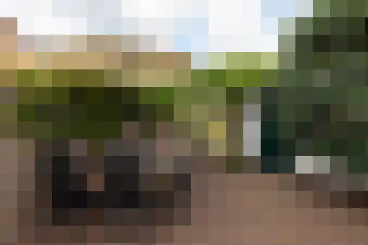Goudriaanstraat 12 Hilversum thumbnail 4