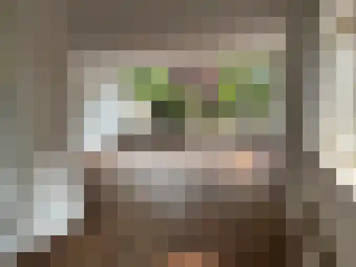 Goudriaanstraat 140 Zwaanshoek thumbnail 8