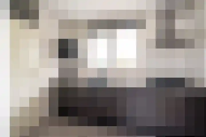 Goudriaanstraat 15 Zwaanshoek thumbnail 10