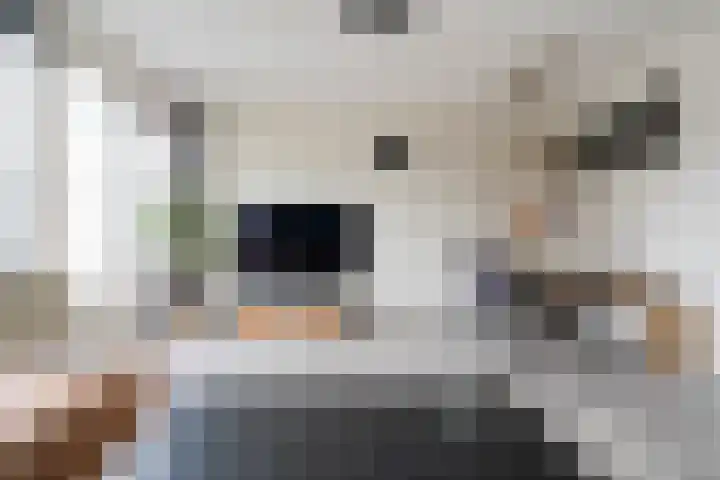 Goudriaanstraat 15 Zwaanshoek thumbnail 20